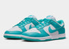 סניקרס Dunk Low Next Nature Dusty Cactus | נשים